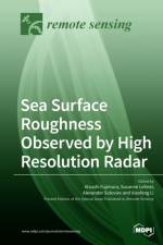 Sea Surface Roughness Observed by High Resolution Radar