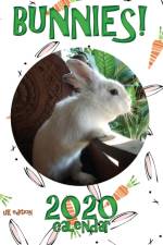 Bunnies! 2020 Calendar (UK Edition) af Sea Wall Uk