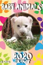 Baby Animals! 2020 Calendar (UK Edition) af Sea Wall Uk
