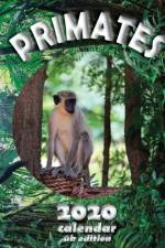 Primates 2020 Calendar (UK Edition) af Wall Uk