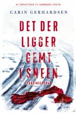 Det der ligger gemt i sneen