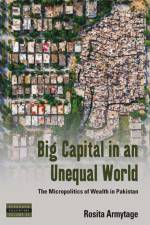 Big Capital in an Unequal World af Rosita Armytage Armytage