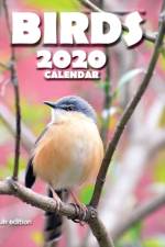 Birds 2020 Calendar (UK Edition) af Wall Publishing Uk