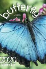 Butterfly 2020 Calendar (UK Edition) af Wall Publishing Uk