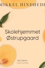 Skolehjemmet Østrupgaard af Mikkel Hindhede