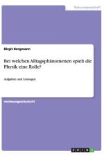 Bei welchen Alltagsphanomenen spielt die Physik eine Rolle? af Birgit Bergmann