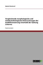 Vergleichende morphologische und molekularbiologische Untersuchungen der Artdifferenzierung innerhalb der Gattung Littorina af Gabriel Dischereit