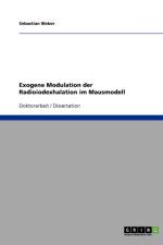 Exogene Modulation der Radioiodexhalation im Mausmodell af Sebastian Weber