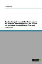 Gesetzgebung als wesentlicher Referenzpunkt der Thematik 'Arbeitsmigration' - am Beispiel der Schlusselkrafte-Regelung in OEsterreich af Petra Sodtke