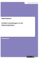 Schulervorstellungen in der Elektrizitatslehre af Birgit Bergmann