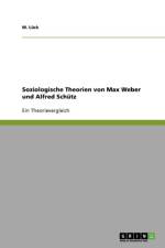 Soziologische Theorien von Max Weber und Alfred Schutz af Tina Brüskmann