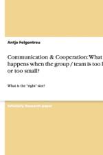 Communication & Cooperation af Antje Felgentreu