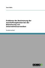 Probleme der Bestimmung der Anschaffungskosten bei der Bilanzierung von Unternehmenserwerben af Sven Hahn