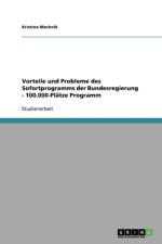 Vorteile und Probleme des Sofortprogramms der Bundesregierung - 100.000-Platze Programm af Kristina Mechnik