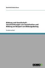 Bildung und Gesellschaft - Verschrankungen von Sozialisation und Bildung am Beispiel von Bildungsabstieg af Reinhild Diederichsen