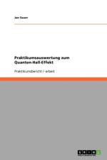 Praktikumsauswertung zum Quanten-Hall-Effekt af Jan Sauer