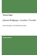 Johann Wolfgang v. Goethes Novelle af Theresa Hiepe