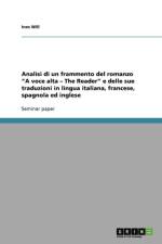 Analisi di un frammento del romanzo 
