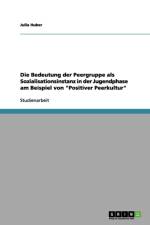 Bedeutung der Peergruppe als Sozialisationsinstanz in der Jugendphase am Beispiel von Positiver Peerkultur af Julia Huber