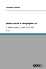 Financial crises in emerging markets af Skanderbeg Schmusch