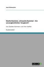 Starke Kammer, schwache Kammer - Ein unvergleichlicher Vergleich? af Jana Schwenzien