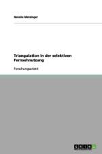Triangulation in der selektiven Fernsehnutzung af Natalie Metzinger
