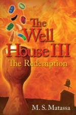 Well House III af M S Matassa