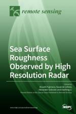 Sea Surface Roughness Observed by High Resolution Radar