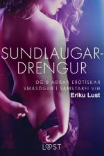 Sundlaugardrengur og 9 aðrar erótískar smásögur í samstarfi við Eriku Lust af Ýmsir Höfundar