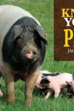 Know Your Pigs