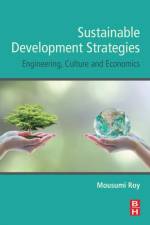 Sustainable Development Strategies af Kevin (Professor in Management Studies Feige