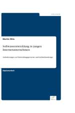 Softwareentwicklung in jungen Internetunternehmen af Martin Zihla