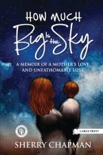 How Much Big Is the Sky af Chapman Sherry Chapman