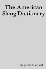 American Slang Dictionary af James Maitland