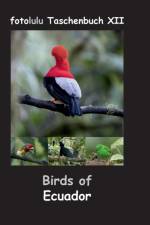 Birds of Ecuador af Fotolulu