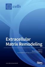 Extracellular Matrix Remodeling