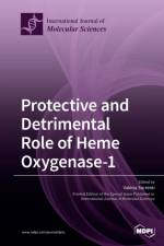 Protective and Detrimental Role of Heme Oxygenase-1