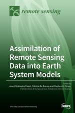 Assimilation of Remote Sensing Data into Earth System Models