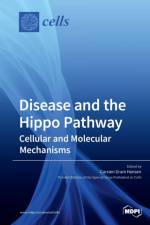 Disease and the Hippo Pathway