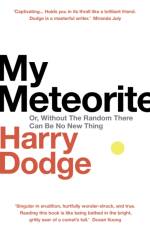 My Meteorite af Harry Dodge