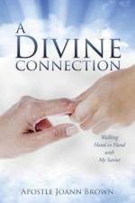 A Divine Connection af Apostle Joann Brown
