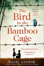 The Bird in the Bamboo Cage af Hazel Gaynor