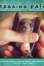 Tagging Bats af Kennedi Emery