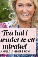 Två hål i huvudet och ett mirakel af Pamela Andersson