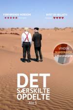Det Særskilte Opdelte