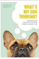 What's My Dog Thinking? af Hannah Molloy