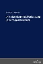 Die Eigenkapitalueberlassung in Der Umsatzsteuer af Johannes Theobald