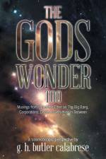 Gods Wonder Too af G H Butler Calabrese