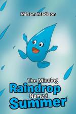Missing Raindrop Named Summer