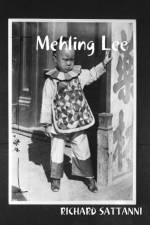 MEHLING LEE af Richard Sattanni